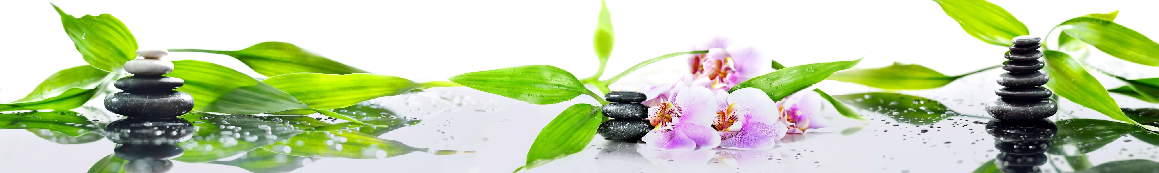 <span  class="uc_style_uc_tiles_grid_image_elementor_uc_items_attribute_title" style="color:#ffffff;">skinali-5898</span>