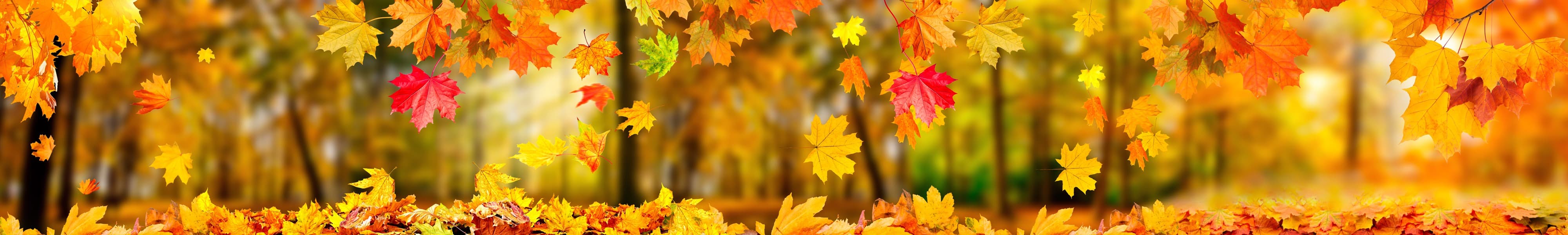 <span  class="uc_style_uc_tiles_grid_image_elementor_uc_items_attribute_title" style="color:#ffffff;">skinali-5953</span>