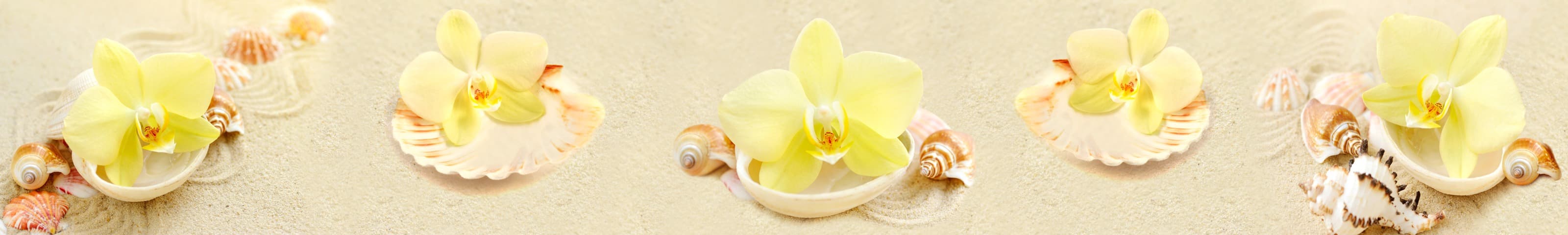 <span  class="uc_style_uc_tiles_grid_image_elementor_uc_items_attribute_title" style="color:#ffffff;">skinali-6002</span>