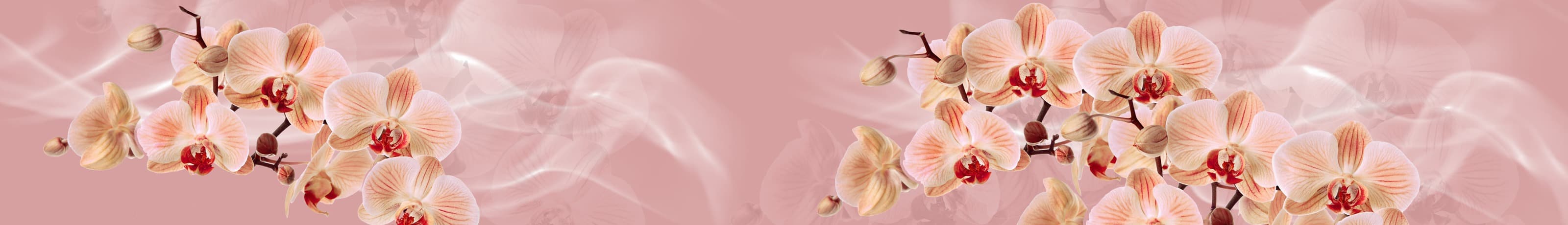 <span  class="uc_style_uc_tiles_grid_image_elementor_uc_items_attribute_title" style="color:#ffffff;">skinali-6191</span>