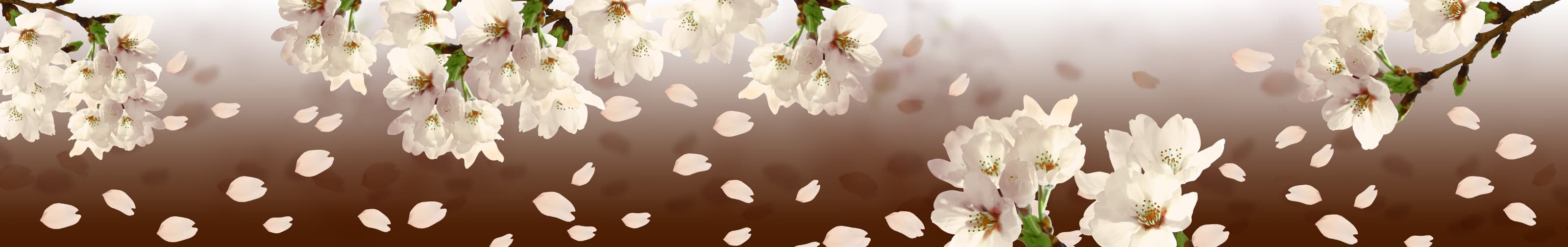 <span  class="uc_style_uc_tiles_grid_image_elementor_uc_items_attribute_title" style="color:#ffffff;">skinali-6200</span>