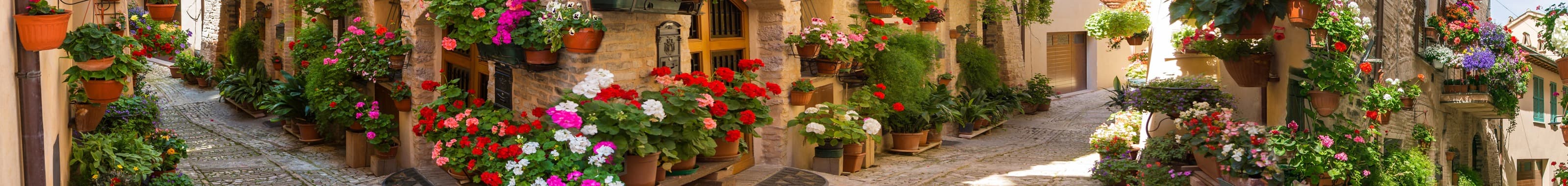 <span  class="uc_style_uc_tiles_grid_image_elementor_uc_items_attribute_title" style="color:#ffffff;">skinali-6212</span>