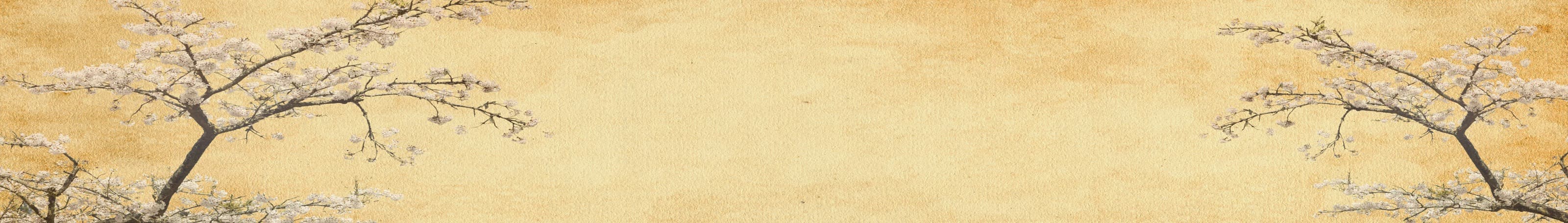 <span  class="uc_style_uc_tiles_grid_image_elementor_uc_items_attribute_title" style="color:#ffffff;">skinali-6215</span>