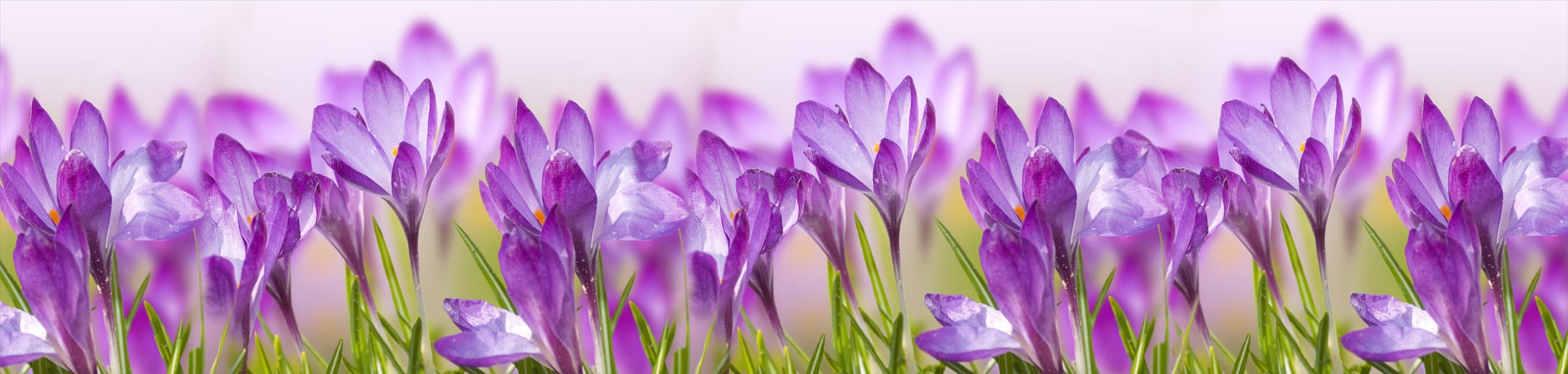 <span  class="uc_style_uc_tiles_grid_image_elementor_uc_items_attribute_title" style="color:#ffffff;">skinali-6221</span>