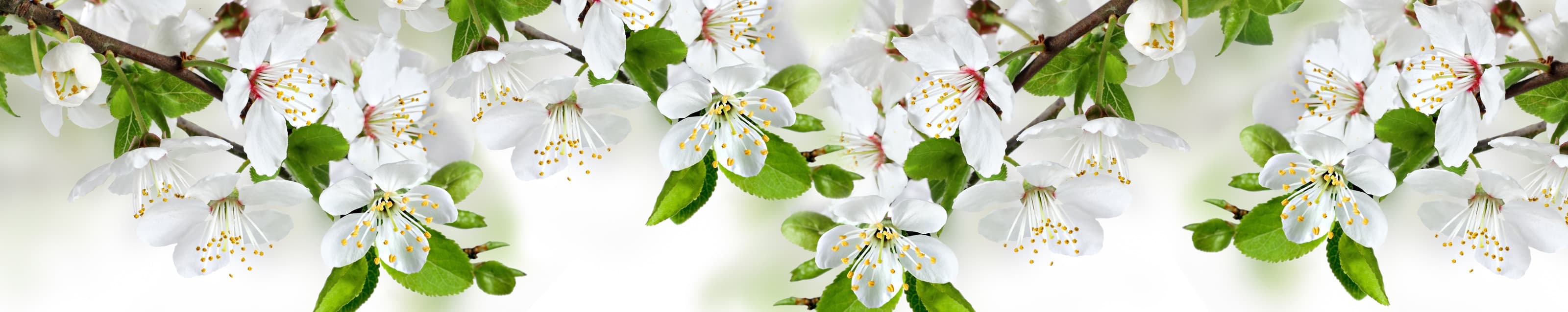 <span  class="uc_style_uc_tiles_grid_image_elementor_uc_items_attribute_title" style="color:#ffffff;">skinali-6240</span>