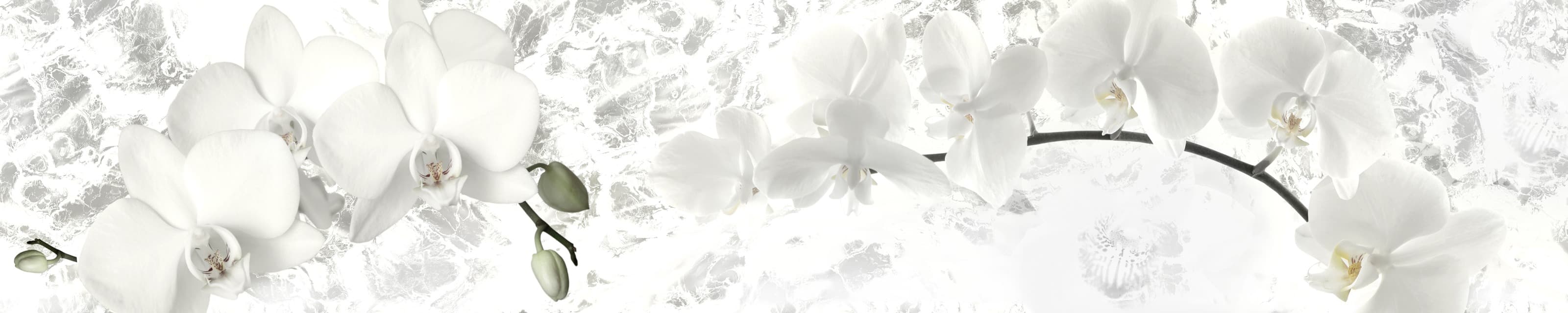 <span  class="uc_style_uc_tiles_grid_image_elementor_uc_items_attribute_title" style="color:#ffffff;">skinali-6269</span>