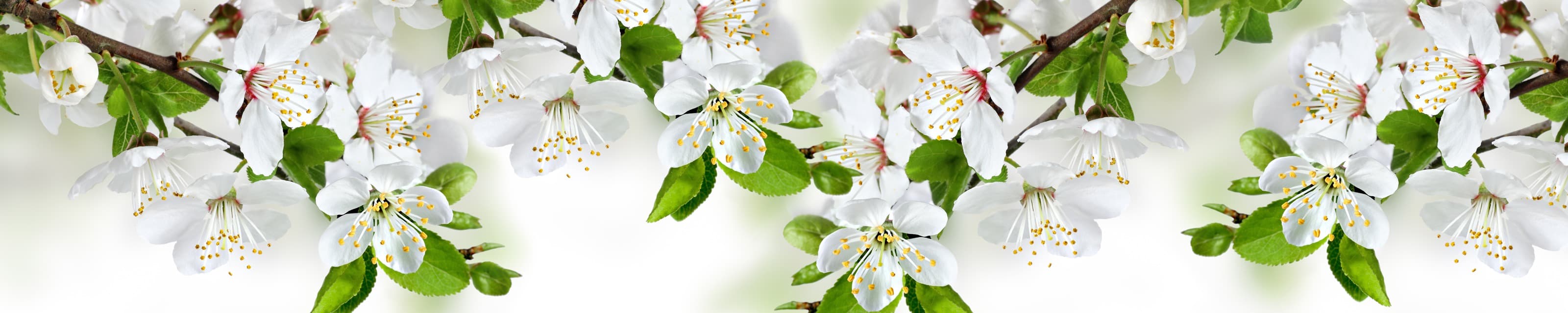 <span  class="uc_style_uc_tiles_grid_image_elementor_uc_items_attribute_title" style="color:#ffffff;">skinali-6288</span>