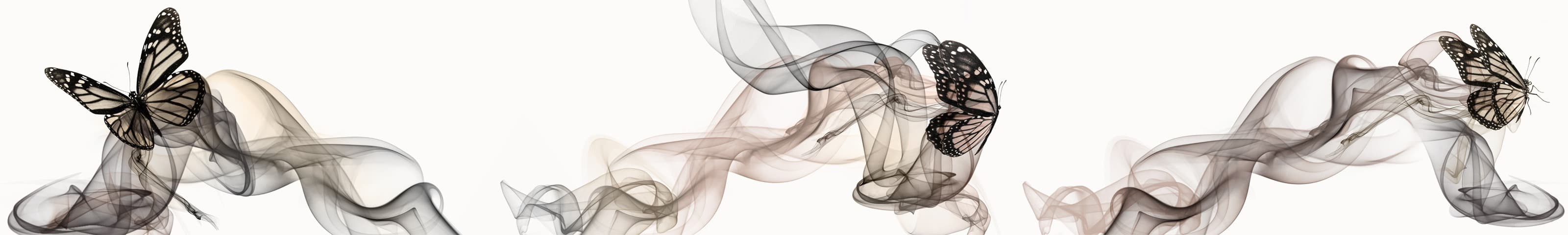 <span  class="uc_style_uc_tiles_grid_image_elementor_uc_items_attribute_title" style="color:#ffffff;">skinali-6295</span>