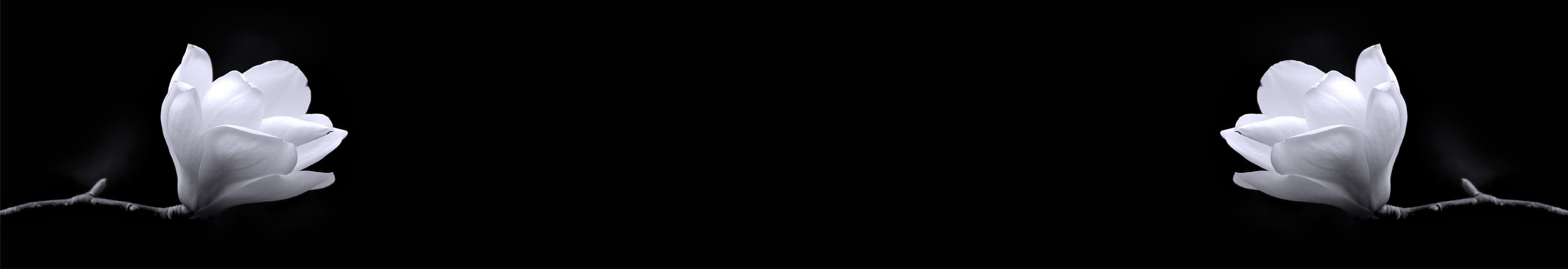 <span  class="uc_style_uc_tiles_grid_image_elementor_uc_items_attribute_title" style="color:#ffffff;">skinali-6326</span>