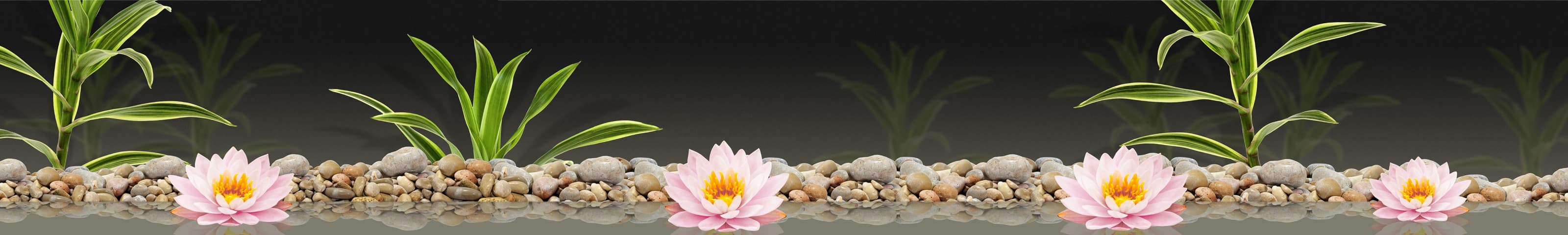 <span  class="uc_style_uc_tiles_grid_image_elementor_uc_items_attribute_title" style="color:#ffffff;">skinali-6332</span>