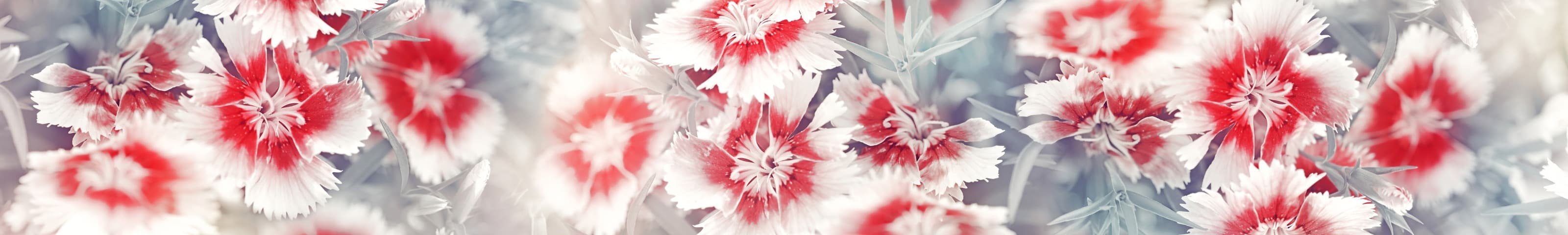 <span  class="uc_style_uc_tiles_grid_image_elementor_uc_items_attribute_title" style="color:#ffffff;">skinali-6349</span>