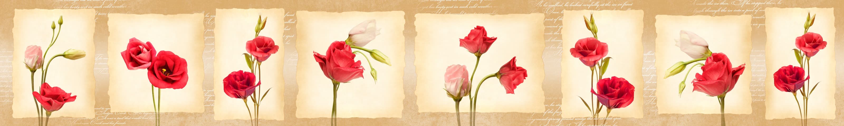 <span  class="uc_style_uc_tiles_grid_image_elementor_uc_items_attribute_title" style="color:#ffffff;">skinali-6383</span>