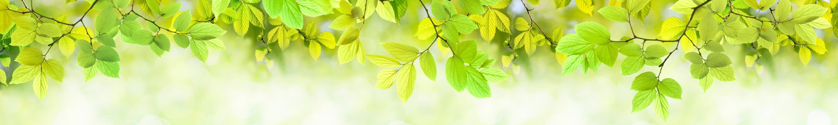 <span  class="uc_style_uc_tiles_grid_image_elementor_uc_items_attribute_title" style="color:#ffffff;">skinali-6395</span>