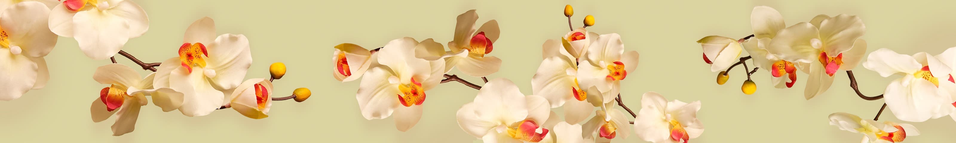 <span  class="uc_style_uc_tiles_grid_image_elementor_uc_items_attribute_title" style="color:#ffffff;">skinali-6398</span>