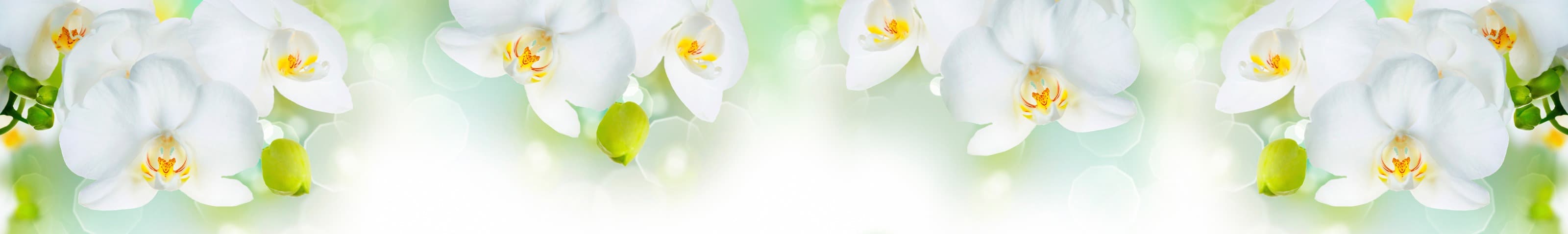 <span  class="uc_style_uc_tiles_grid_image_elementor_uc_items_attribute_title" style="color:#ffffff;">skinali-6414</span>