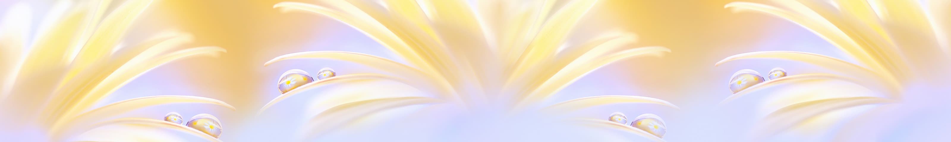 <span  class="uc_style_uc_tiles_grid_image_elementor_uc_items_attribute_title" style="color:#ffffff;">skinali-6426</span>