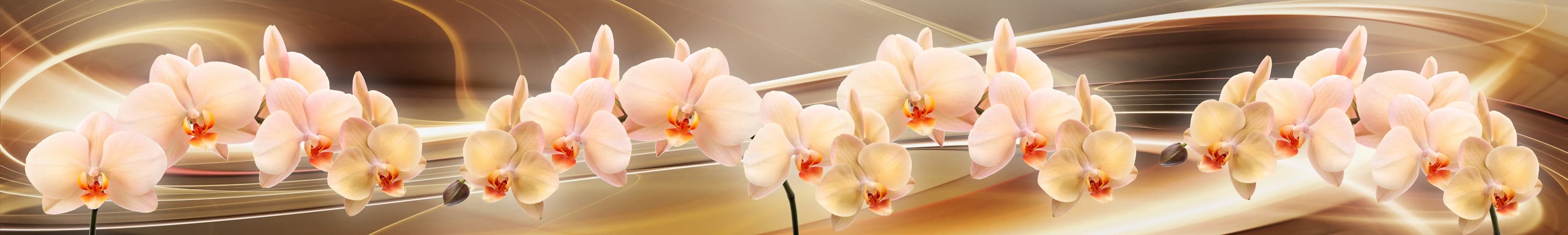 <span  class="uc_style_uc_tiles_grid_image_elementor_uc_items_attribute_title" style="color:#ffffff;">skinali-6452</span>