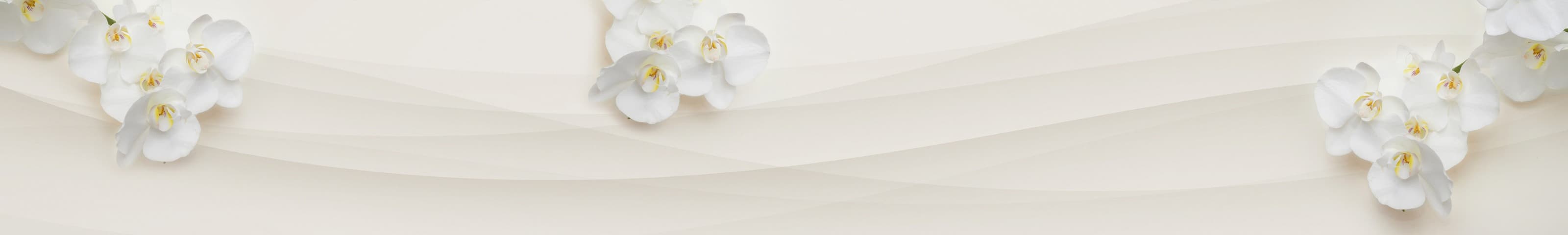 <span  class="uc_style_uc_tiles_grid_image_elementor_uc_items_attribute_title" style="color:#ffffff;">skinali-6468</span>