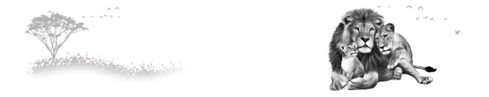 <span  class="uc_style_uc_tiles_grid_image_elementor_uc_items_attribute_title" style="color:#ffffff;">skinali-6496</span>