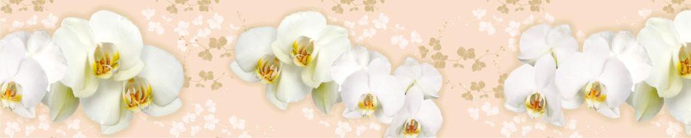 <span  class="uc_style_uc_tiles_grid_image_elementor_uc_items_attribute_title" style="color:#ffffff;">skinali-6499</span>