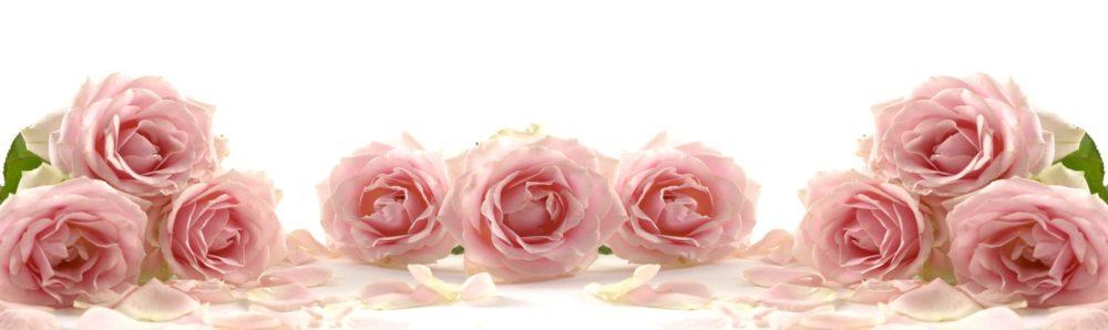 <span  class="uc_style_uc_tiles_grid_image_elementor_uc_items_attribute_title" style="color:#ffffff;">skinali-6513</span>