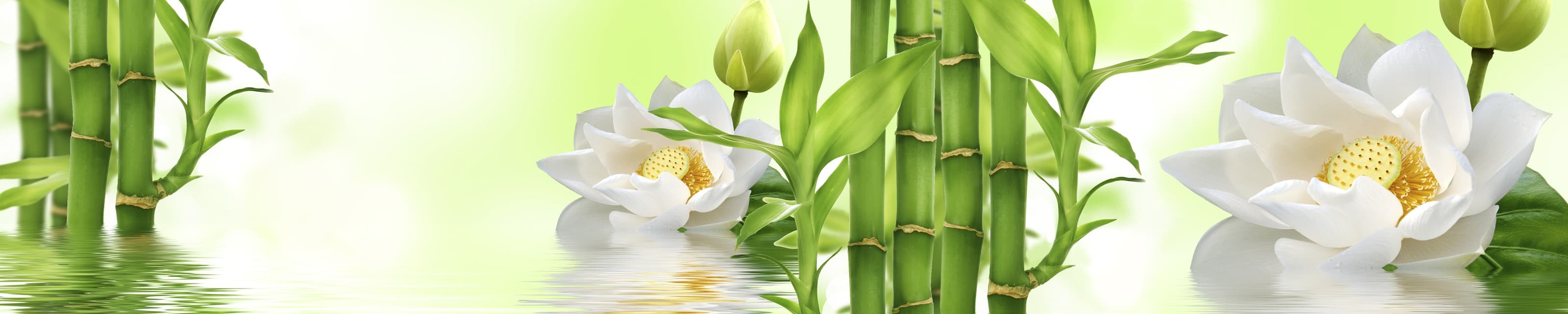 <span  class="uc_style_uc_tiles_grid_image_elementor_uc_items_attribute_title" style="color:#ffffff;">skinali-6544</span>