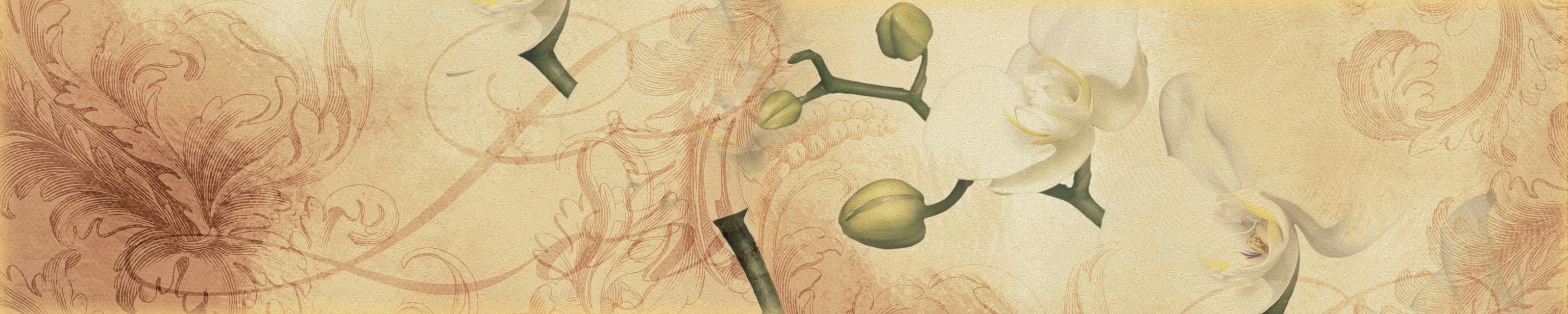 <span  class="uc_style_uc_tiles_grid_image_elementor_uc_items_attribute_title" style="color:#ffffff;">skinali-6560</span>