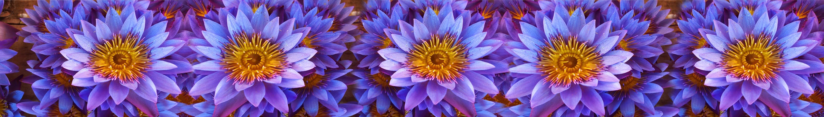 <span  class="uc_style_uc_tiles_grid_image_elementor_uc_items_attribute_title" style="color:#ffffff;">skinali-6603</span>