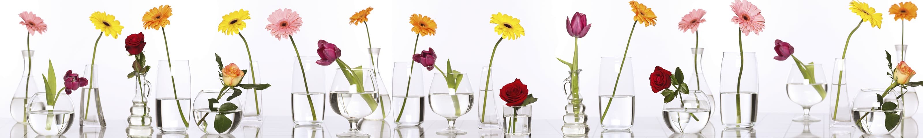 <span  class="uc_style_uc_tiles_grid_image_elementor_uc_items_attribute_title" style="color:#ffffff;">skinali-6620</span>