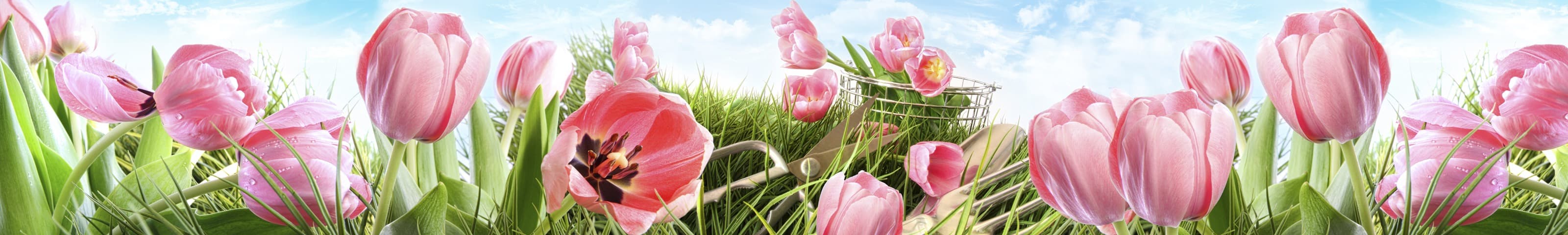 <span  class="uc_style_uc_tiles_grid_image_elementor_uc_items_attribute_title" style="color:#ffffff;">skinali-6631</span>