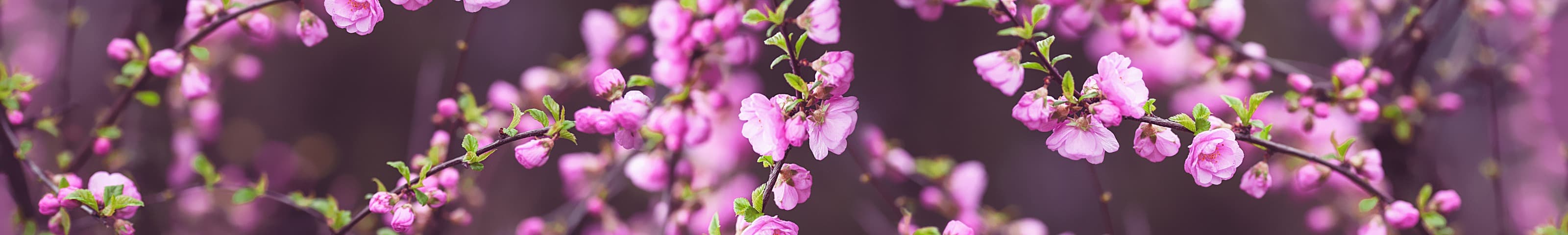 <span  class="uc_style_uc_tiles_grid_image_elementor_uc_items_attribute_title" style="color:#ffffff;">skinali-6635</span>