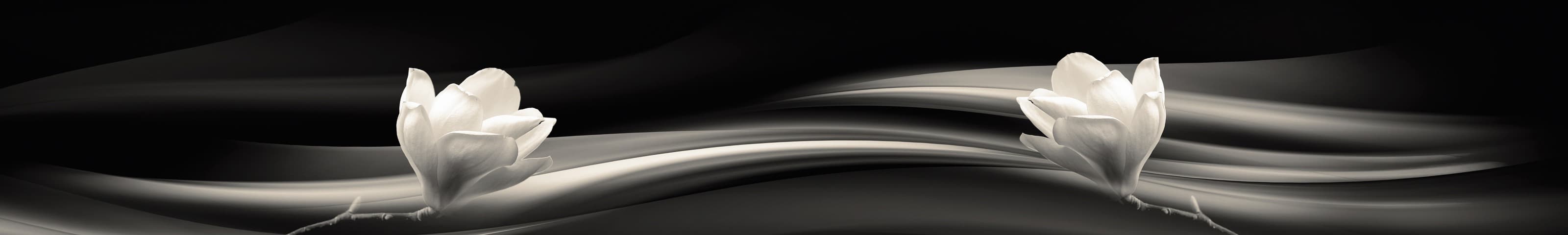 <span  class="uc_style_uc_tiles_grid_image_elementor_uc_items_attribute_title" style="color:#ffffff;">skinali-6647</span>