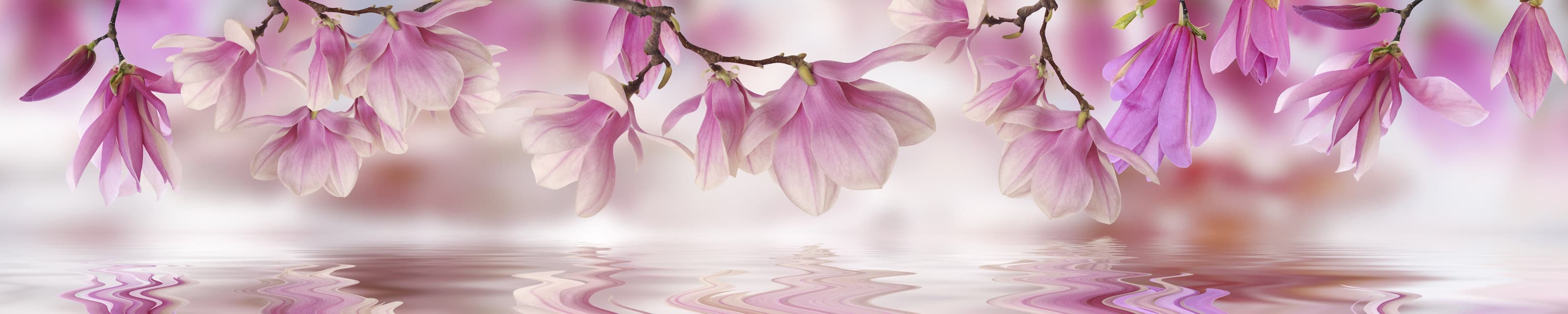 <span  class="uc_style_uc_tiles_grid_image_elementor_uc_items_attribute_title" style="color:#ffffff;">skinali-6663</span>