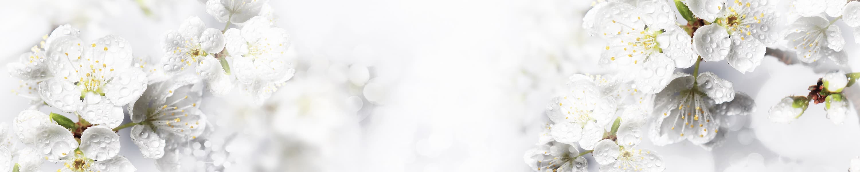 <span  class="uc_style_uc_tiles_grid_image_elementor_uc_items_attribute_title" style="color:#ffffff;">skinali-6688</span>