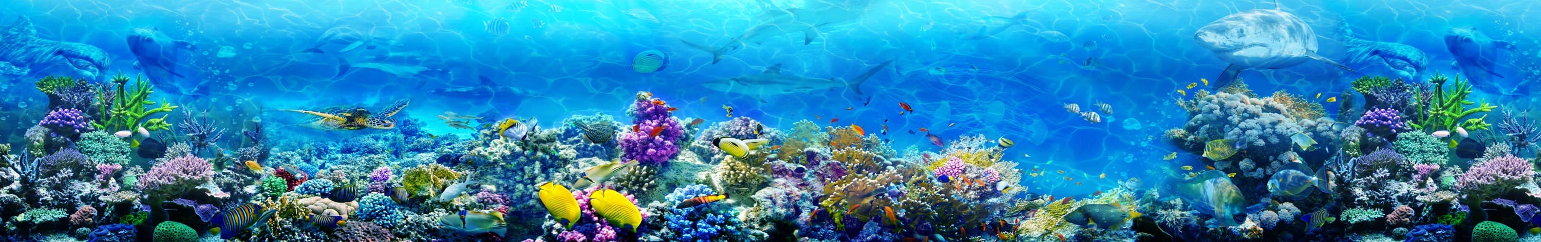 <span  class="uc_style_uc_tiles_grid_image_elementor_uc_items_attribute_title" style="color:#ffffff;">skinali-6737</span>