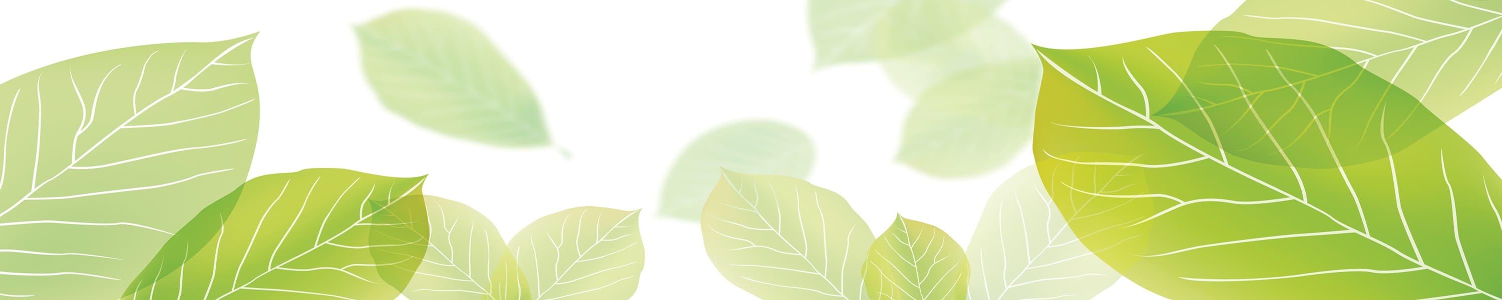<span  class="uc_style_uc_tiles_grid_image_elementor_uc_items_attribute_title" style="color:#ffffff;">skinali-6768</span>