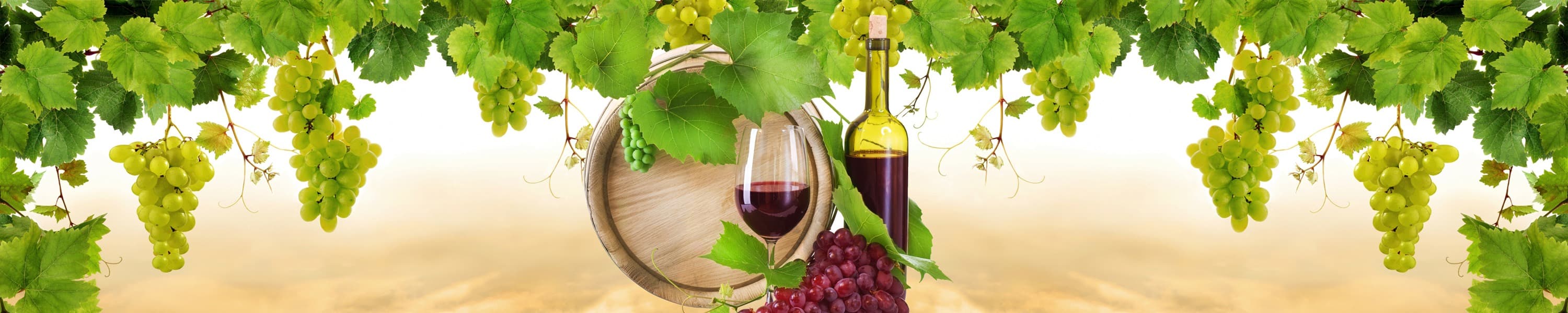 <span  class="uc_style_uc_tiles_grid_image_elementor_uc_items_attribute_title" style="color:#ffffff;">skinali-6789</span>