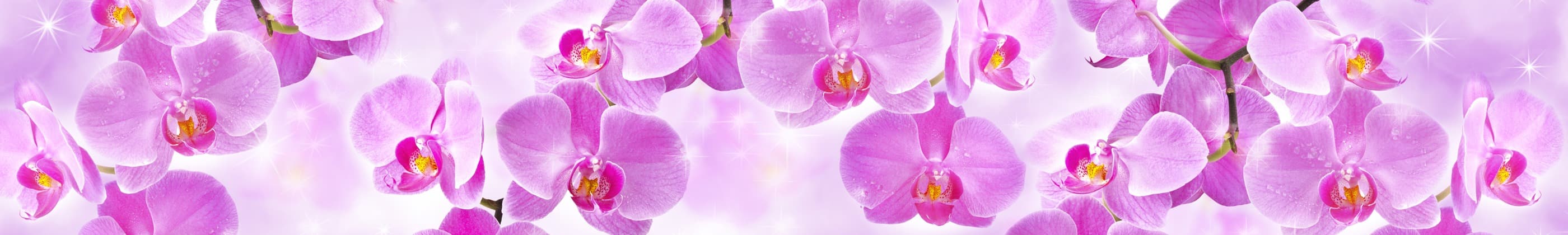 <span  class="uc_style_uc_tiles_grid_image_elementor_uc_items_attribute_title" style="color:#ffffff;">skinali-6816</span>