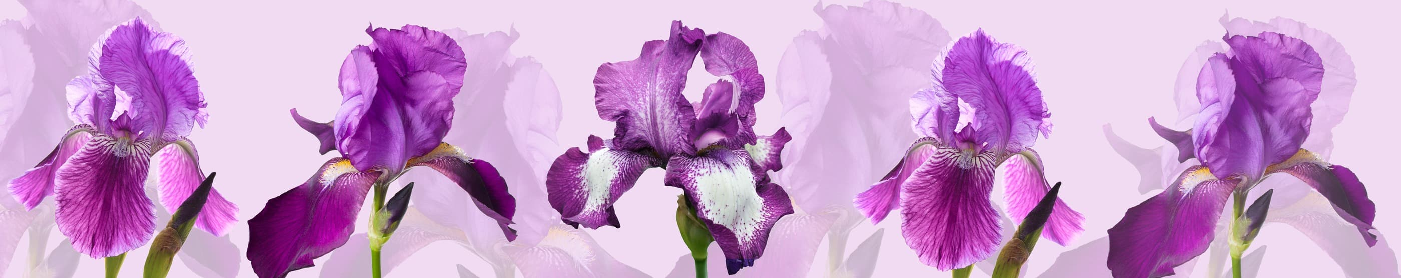 <span  class="uc_style_uc_tiles_grid_image_elementor_uc_items_attribute_title" style="color:#ffffff;">skinali-6855</span>