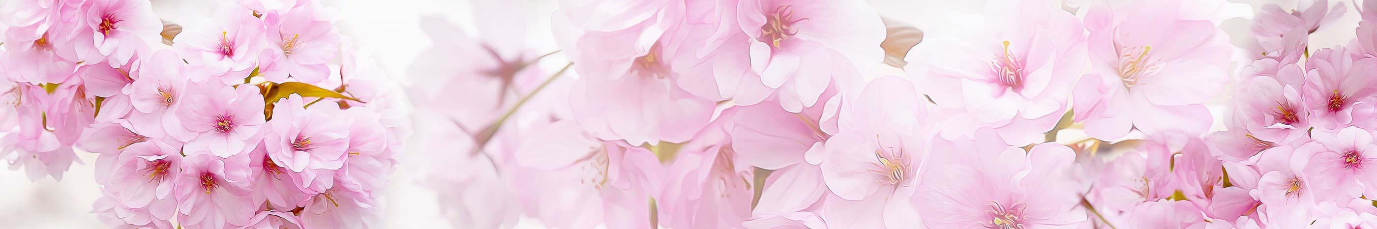 <span  class="uc_style_uc_tiles_grid_image_elementor_uc_items_attribute_title" style="color:#ffffff;">skinali-6893</span>