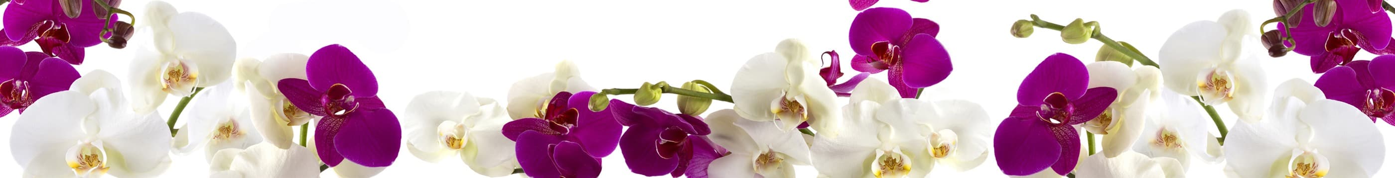 <span  class="uc_style_uc_tiles_grid_image_elementor_uc_items_attribute_title" style="color:#ffffff;">skinali-6927</span>