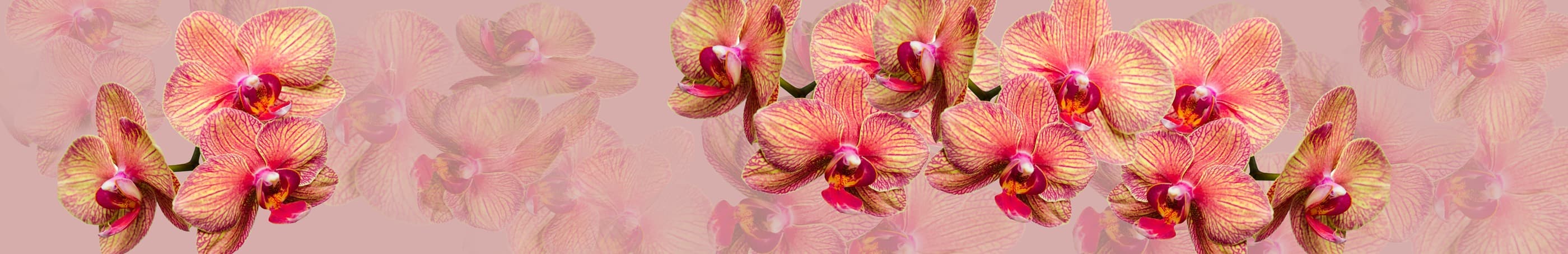 <span  class="uc_style_uc_tiles_grid_image_elementor_uc_items_attribute_title" style="color:#ffffff;">skinali-6939</span>