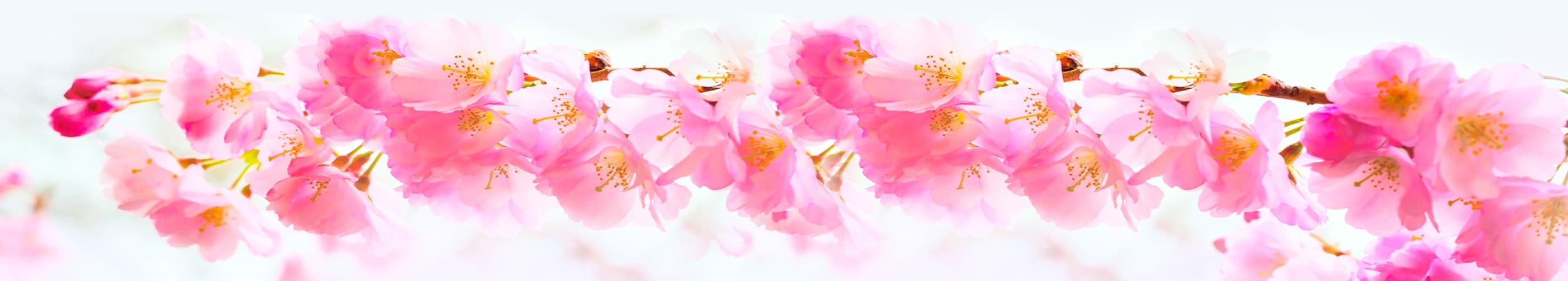 <span  class="uc_style_uc_tiles_grid_image_elementor_uc_items_attribute_title" style="color:#ffffff;">skinali-6946</span>