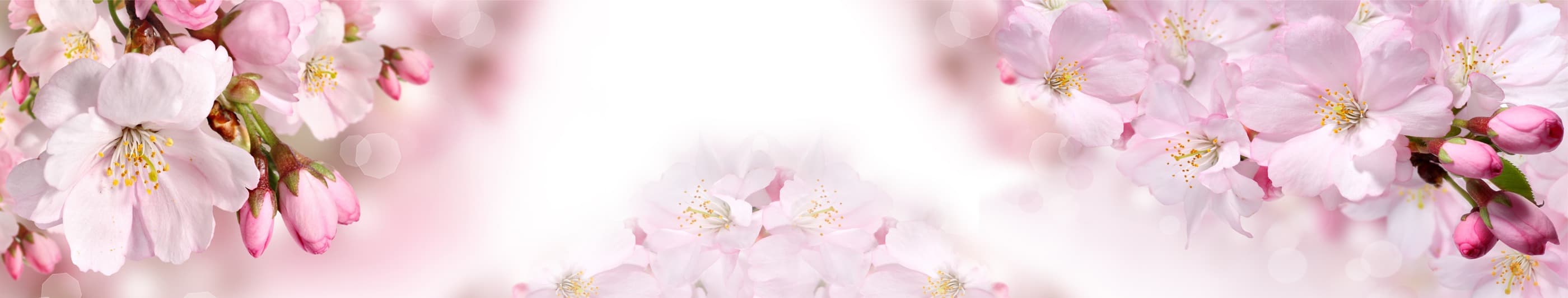 <span  class="uc_style_uc_tiles_grid_image_elementor_uc_items_attribute_title" style="color:#ffffff;">skinali-6968</span>