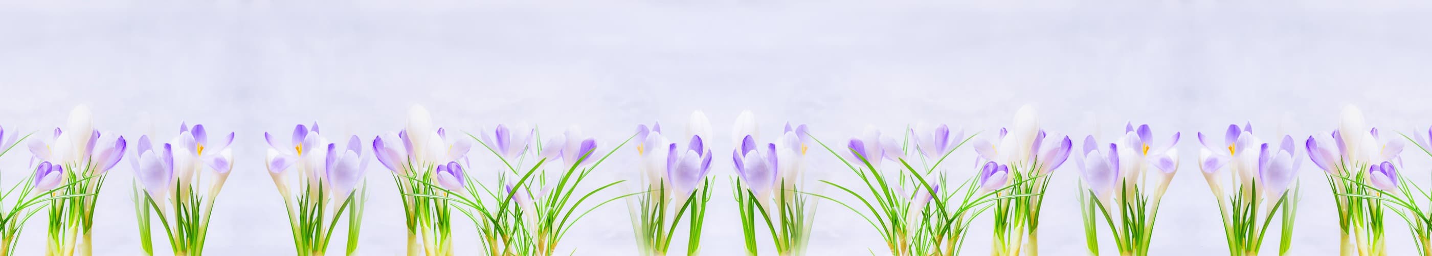 <span  class="uc_style_uc_tiles_grid_image_elementor_uc_items_attribute_title" style="color:#ffffff;">skinali-6974</span>