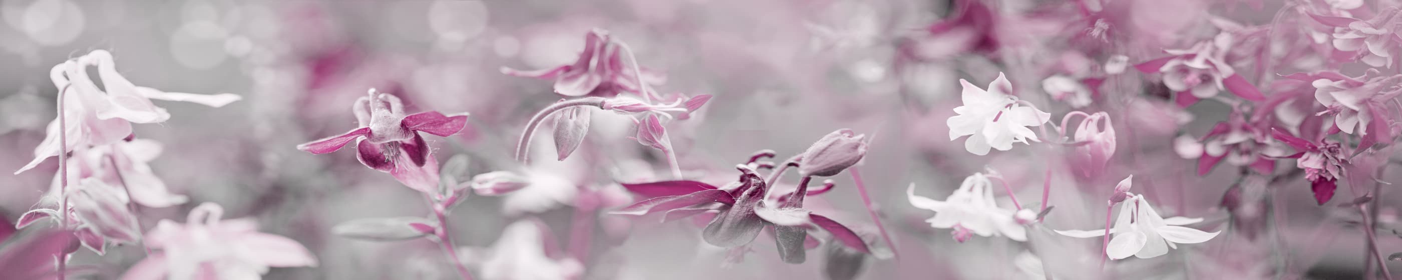 <span  class="uc_style_uc_tiles_grid_image_elementor_uc_items_attribute_title" style="color:#ffffff;">skinali-6984</span>