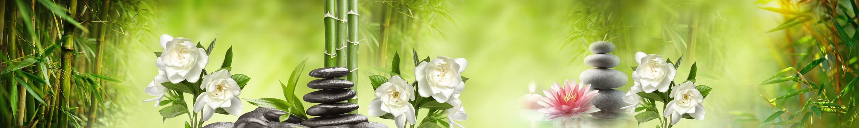 <span  class="uc_style_uc_tiles_grid_image_elementor_uc_items_attribute_title" style="color:#ffffff;">skinali-7008</span>