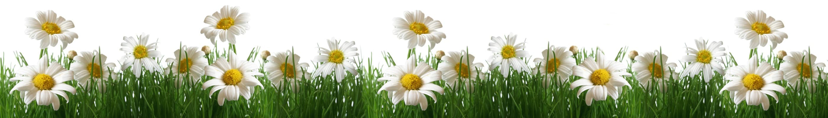 <span  class="uc_style_uc_tiles_grid_image_elementor_uc_items_attribute_title" style="color:#ffffff;">skinali-7045</span>