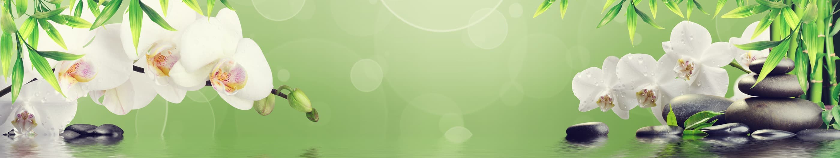 <span  class="uc_style_uc_tiles_grid_image_elementor_uc_items_attribute_title" style="color:#ffffff;">skinali-7079</span>