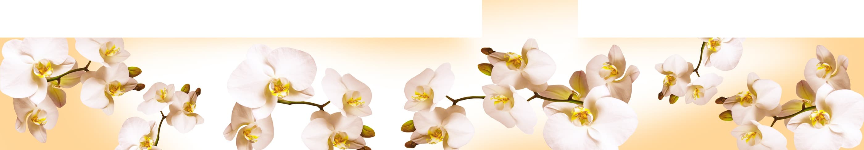 <span  class="uc_style_uc_tiles_grid_image_elementor_uc_items_attribute_title" style="color:#ffffff;">skinali-7089</span>